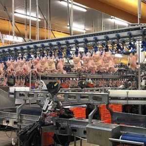 تركيا تحقق 80 مليون دولار من صادرات شيء لن تتوقعه!!