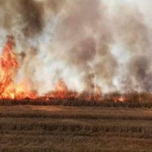 فيديو يكشف مفتعلي الحرائق الزراعية الضخمة في شرق سوريا