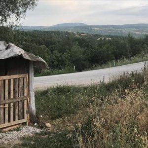 مصلّى لشخص واحد على قارعة طريق عام في تركيا (صور)