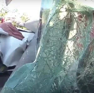 قتلى وجرحى في حادث سير مروع بإسطنبول (فيديو)