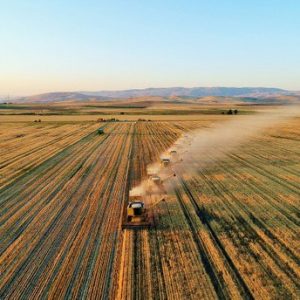 خبراء: توتر العلاقات التجارية الصينية الأمريكية فرصة للمزارعين الأتراك