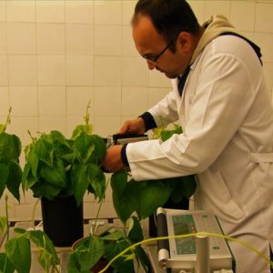 دراسة تركية تكشف تأثير الموسيقى على نمو النباتات