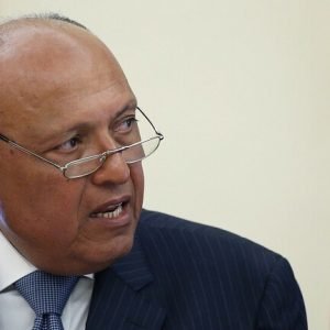 وزير الخارجية المصري يعلق على “المظاهرات” الأخيرة ضد السيسي