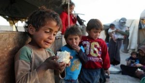 الفاو تحذر : أكثر من 820 مليون شخص يعانون الجوع