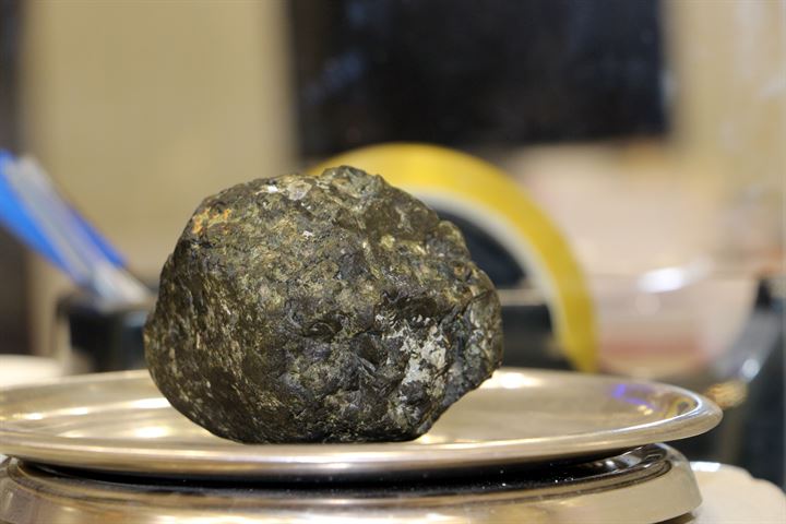 وجده في حديقة شمال تركيا.. ويطالب بفحصه.. رأته الكلاب ففرت هاربة "ًصورة" 2 وجده في حديقة شمال تركيا.. ويطالب بفحصه.. رأته الكلاب ففرت هاربة "ًصورة" 1