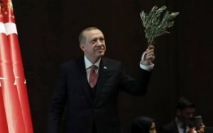 تركيا تحطم الرقم القياسي العالمي لأكبر عدد شتلات تزرع خلال ساعة