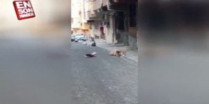 فيديو يفجر موجه غضب من بلدية إسطنبول
