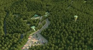 تركيا تعلن 11 نوفمبر من كل عام يوما وطنيا للتشجير