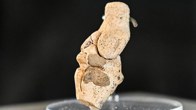 تمثال فينوس الذي عثر عليها علماء الآثار في شمالي باريس