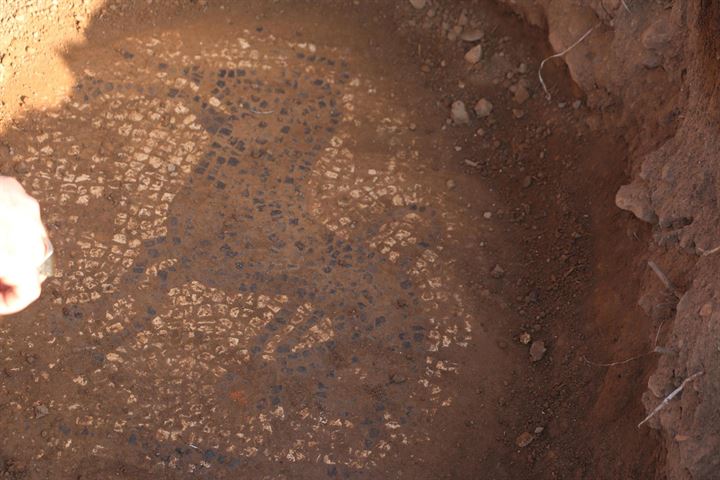 قطعة الفسيفساء الأثرية