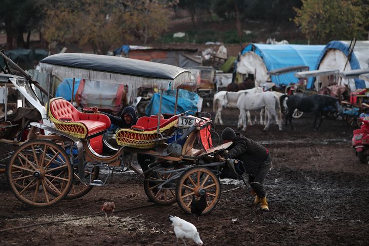 اسطبلات الخيول في جزر الأميرات
