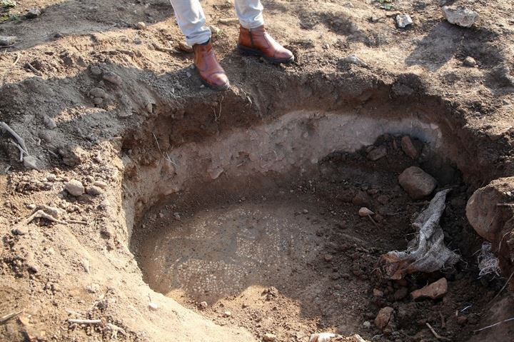 قطعة الفسيفساء الأثرية