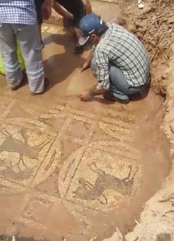 قطعة الفسيفساء الأثرية