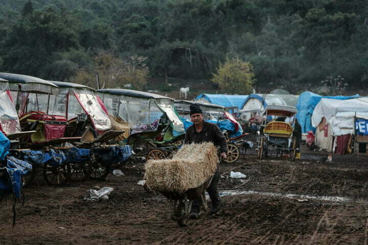 اسطبلات الخيول في جزر الأميرات