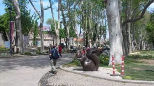 تعرف علي غرامة رمي قشور البزر في إسطنبول !!