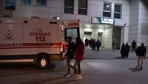  قتيلان في حادث مروع جنوب تركيا