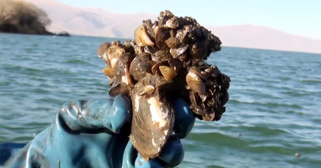 خطر يدق أبواب تركيا.. احتلتها في غضون عشر سنوات 2 خطر يدق أبواب تركيا.. احتلتها في غضون عشر سنوات 1