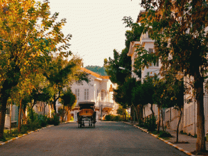 جولة في "الحنطور" لسائحين اثنين في إحدى جزر الأميرات قرب إسطنبول (أرشيف).