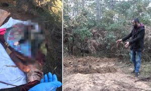 تفاصيل مريبة.. العثور على جثة امرأة في غابة بإسطنبول