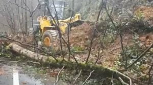 انهيار ارضي في ولاية ريزا.. وهذا هو السبب "صور" 1