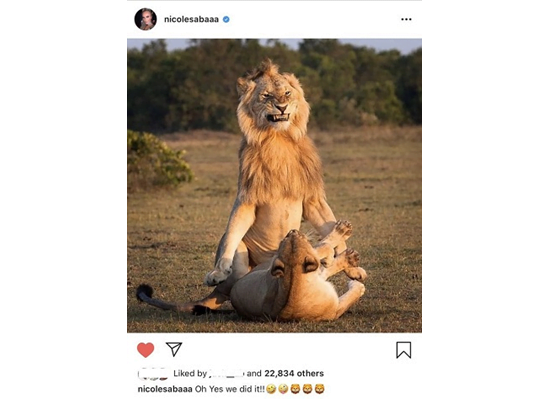 تعرضت لهجوم كبير.. “شاهد” نيكول سابا تستفز متابعيها بصورة مستفزة 1