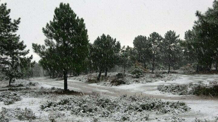 صور: مناظر ساحرة للثلوج في إسطنبول الأوروبية 8 جانب من تساقط الثلوج على اسطنبول الأوروبية