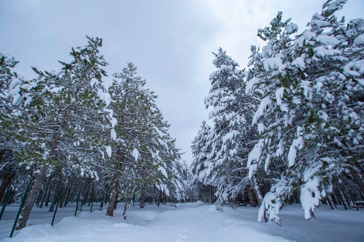 صور: منظر ساحر للزائر الأبيض في حديقة أكداغ الطبيعية غربي تركيا 9