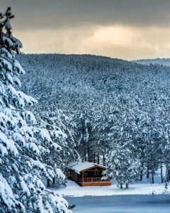 صور: منظر ساحر للزائر الأبيض في حديقة أكداغ الطبيعية غربي تركيا
