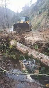 انهيار ارضي في ولاية ريزا.. وهذا هو السبب "صور" 5