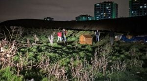 الحكم بالسجن 10 سنوات على 3 أشخاص ارتكبوا جريمة غريبة في أنقرة