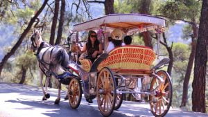 لن تحنُوّ بخيالك مجددًا في "جزر الأميرات".. "إمام أوغلو" رمق الليرة واعترى الحضارة 1