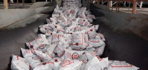 بالصور| توزيع 30 ألف طن من الفحم على متضرري زلزال "إلازغ" 3