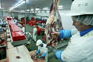 وفاة تركي أثناء ذبحه أضحيته في دنيزلي