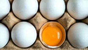 لماذا يصبح البيض جامدا عند طبخه؟