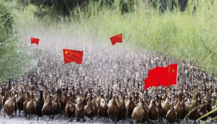 فيلق الطيور الصيني