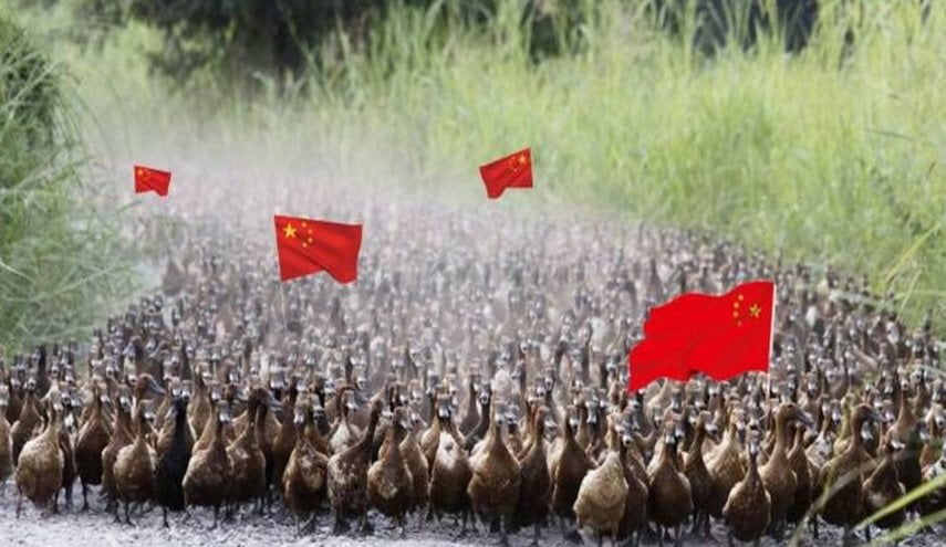 فيلق الطيور الصيني