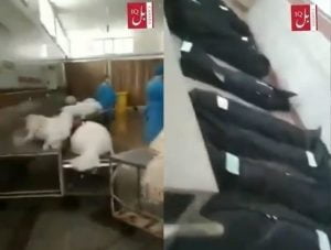 شاهد.. فيديو مسرب وصادم لجثث ضحايا فيروس كورونا في إيران
