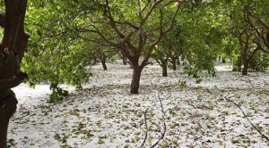 حريق مخيف لم تستطع فرق الاطفاء اخماده في مرسين