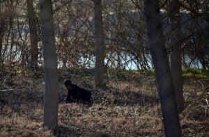بلومبيرغ: تهديد أردوغان لـ"أوروبا" في "إدلب" وليس على الحدود اليونانية 1