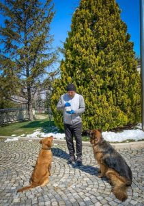 هكذا دعا تشاويش أوغلو الأتراك للبقاء في المنازل (شاهد) 2 هكذا دعا تشاويش أوغلو الأتراك للبقاء في المنازل (شاهد) 1