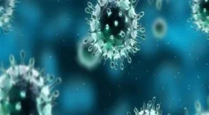 كم نصيحة تقدّمها كورونا؟