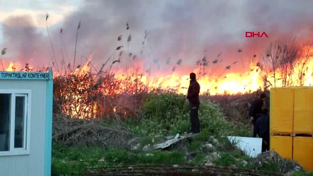 احتراق أراضِ زراعية واسعة في أنطاليا 15