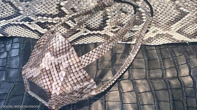 طراز جديد في زمن كورونا.. كمامات مصنوعة من جلد الثعابين (شاهد) 1