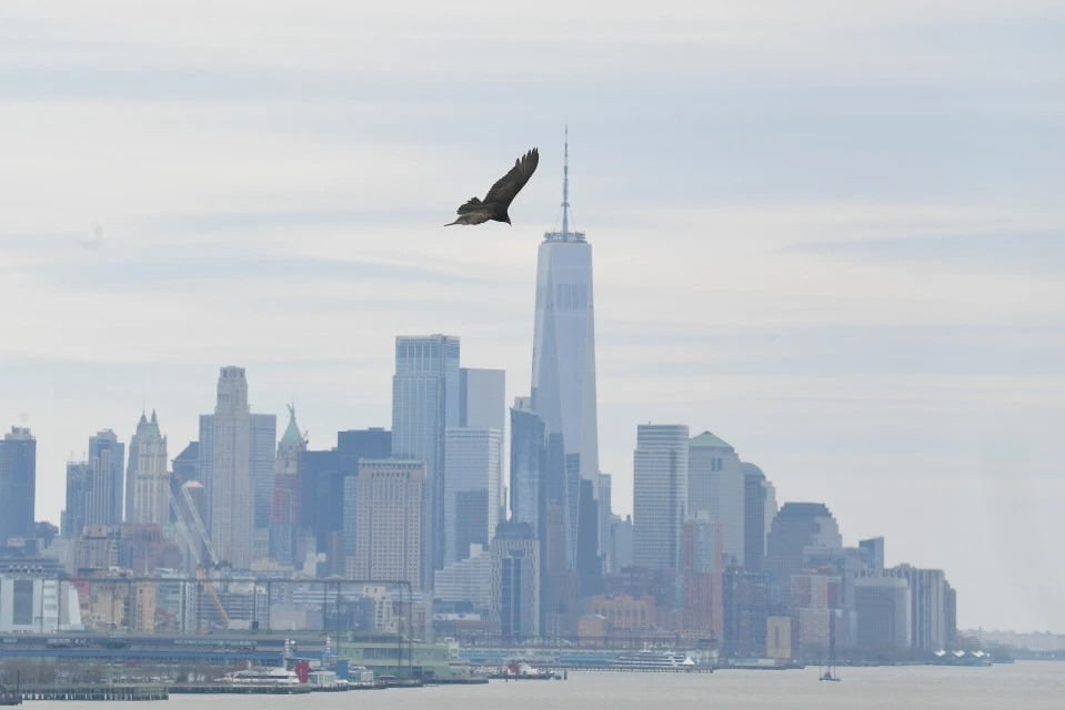 في زمن الكورونا.. الناس في الحجر الصحي والحيوانات في الشوارع (شاهد) 16 في زمن الكورونا.. الناس في الحجر الصحي والحيوانات في الشوارع (شاهد) 15
