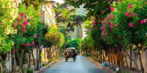 افتتاح جزئي لجزر الاميرات لهذه الفئات فقط