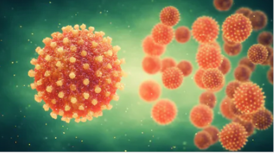 معلومات صادمة عن فيروس كورونا.. كيف يمكن لمريض واحد أن ينقل العدوى لـ88 ألف إنسان؟! 3