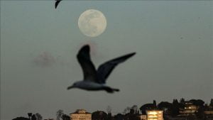 القمر العملاق يضيء سماء تركيا في ليلة النصف من شعبان (صور)