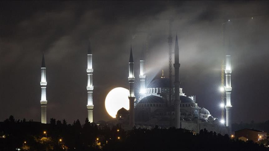 مذابح الأرمن المزعومة..بين الفرية الحاضرة والحقيقة الغائبة 27