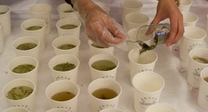 “المشروب الخفي”… 7 فوائد لا تعرفها عن الشاي الأخضر