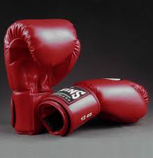 أكثر من وحشي: امراة تتدرب الملاكمة على كلب .. وتحقيق رسمي في الواقعة (شاهد)